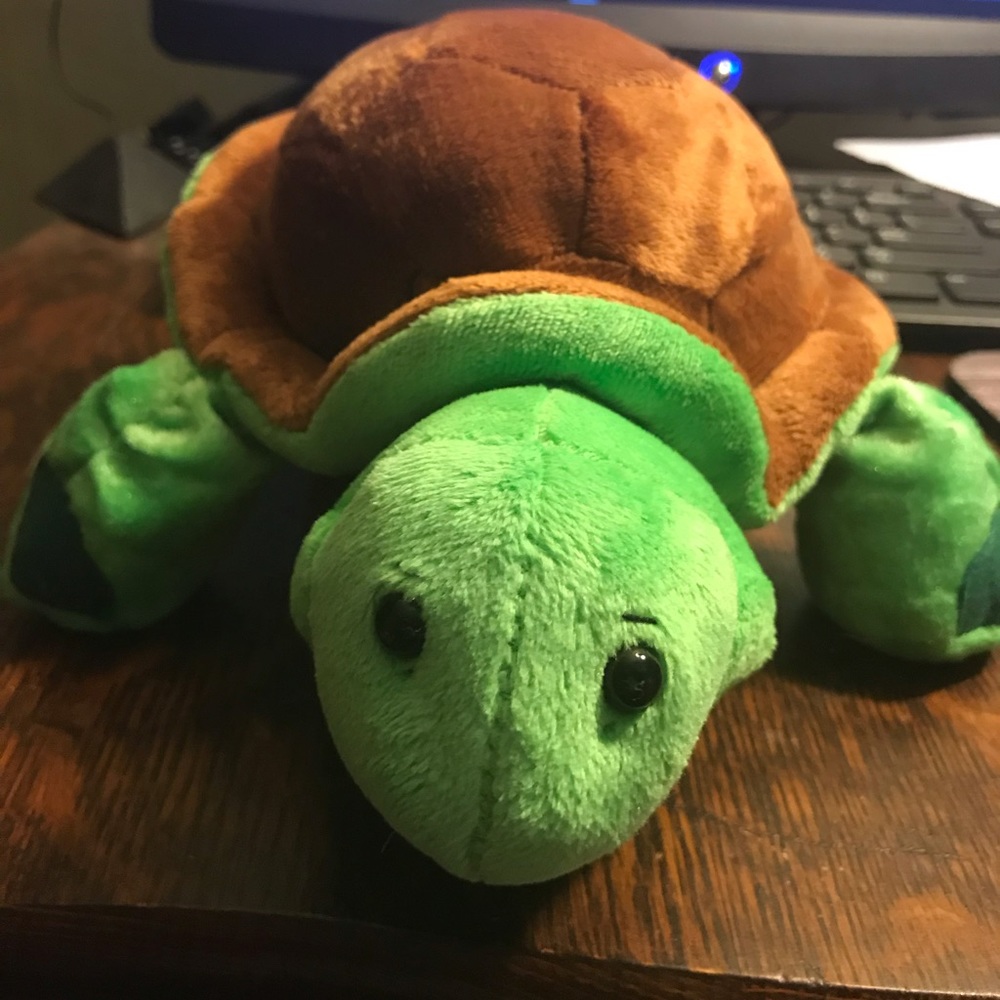 Webkinz turtle - Picture 2 of 2